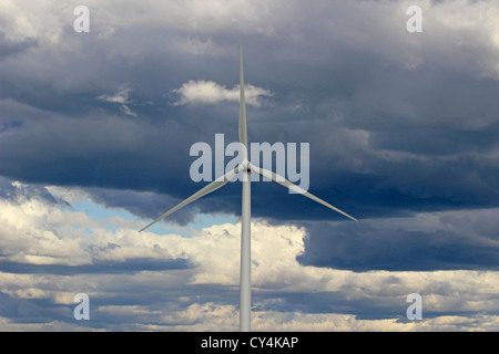 Wind farm Nova Scotia Canada Amherst Canadian Maritimes wind turbine green energy electric power windmills blades generating Stock Photo