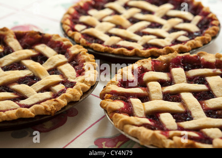 Homemade Concord grape pies cool on the table. Stock Photo