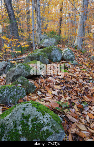 Remnants of an old sawmill along Talford Brook in Thornton, New Hampshire USA. Stock Photo