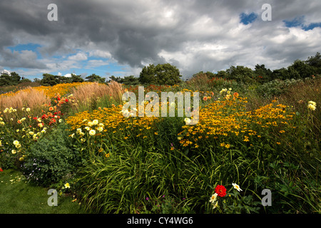 A variety of yellow Summer flowers at Floriade 2012 World Horticultural Expo Venlo Holland Netherlands Stock Photo