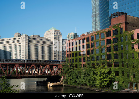 Ivy covered building on the Chicago River with rail bridge and train, and Merchandise Mart in background.