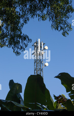 A remote communication mast deep in a tropical area Stock Photo