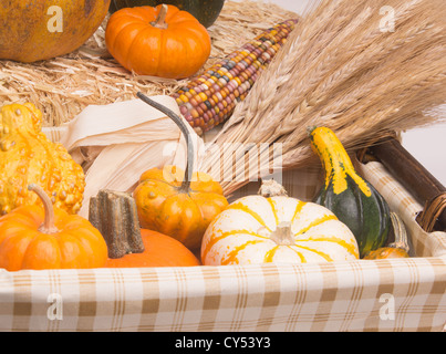 Basket with pumpkins, gourds, acorn squash, Indian Corn, and wheat stalks. Isolated on white background with light shadow Stock Photo
