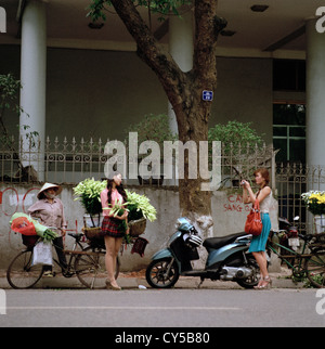 Life in the streets of Old Hanoi in Vietnam in Far East Southeast Asia. Woman Women Fashion Model Beauty Flower Lifestyle Wanderlust Travel Stock Photo