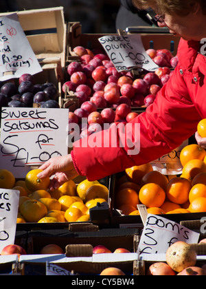 Woman shopping on fruit and vegetable stall picking up satsumas Chesterfield market Derbyshire England Stock Photo