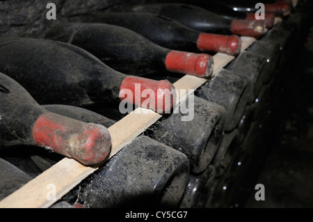 Old wine bottles ageing in a wine cellar, Burgundy, France, Europe Stock Photo