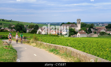 Vineyard and village of Pommard, Cote d'Or, Route des grands crus, Burgundy, France Stock Photo