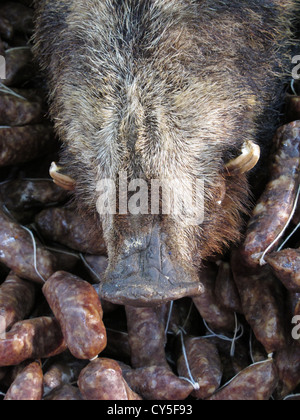 wild boar sausages in rome italy Stock Photo - Alamy