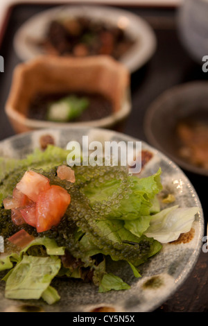 'Umi Budo' or Sea Grapes are a popular local delicacy in Okinawa, Japan. Stock Photo