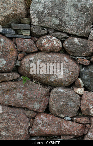 Section of a Stone Wall built from granite boulders. Isle of Iona. Inner Hebrides. West coast of Scotland. Stock Photo