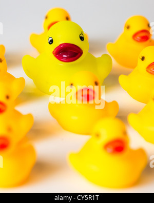 Yellow rubber ducks lined up in a row Stock Photo
