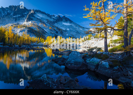 Tamaracks reflecting in Lake Leprechaun in Washington's Enchantment Lakes wilderness area Stock Photo