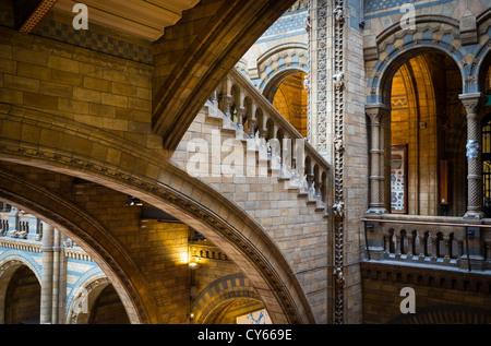 The Natural History Museum is on Exhibition Road, South Kensington, London, England Stock Photo