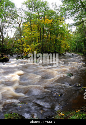 Fast running River Esk near Egton in the North Yorkshire moors Stock Photo