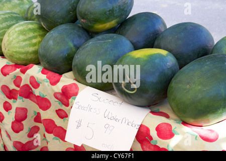 sweet seedless water melons at a local farmers market celebration florida usa Stock Photo