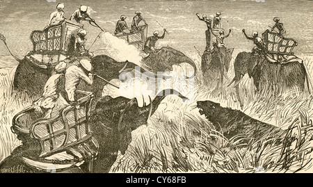 Hunters mounted on elephants, during a tiger hunt in India in the 19th century. Stock Photo