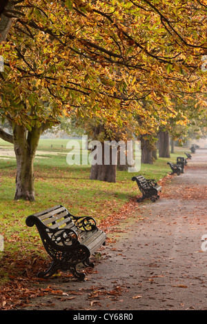 Regent's Park in autumn, London, England, UK Stock Photo