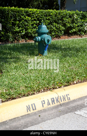 fire hydrant no parking curb in residential area of celebration florida usa Stock Photo