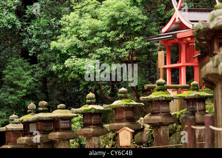 Kasuga Taisha Shrine in Nara, Japan is famous for its large number of decorative stone lanterns, known as 'Ishidoro'. Stock Photo