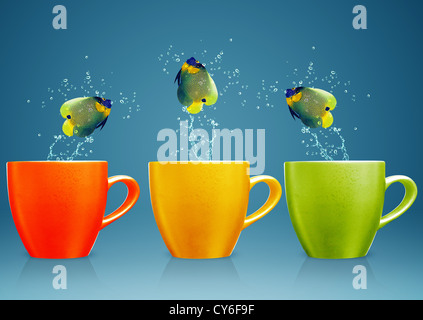 Angelfish jumping out of cup with water splashes and Acrobatic movement. Stock Photo