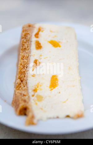 'World famous' mango cheesecake from the Litchfield Cafe in Litchfield National Park, Northern Territory, Australia. Stock Photo
