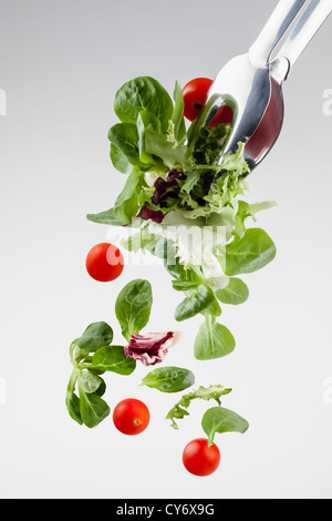 fresh salad falling from a clamp isolated on gray gradient background Stock Photo