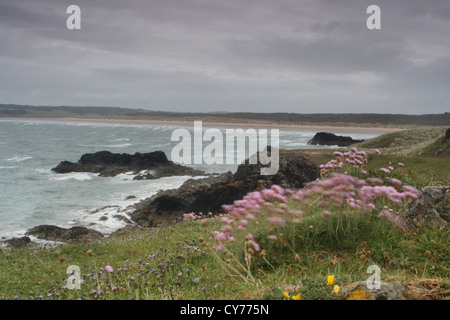 Penrhos beach, Newborough Warren from Llanddwyn Island Anglesey Stock Photo