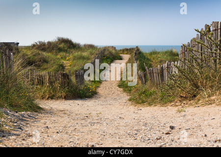 Sand footpath through dunes at the beach in Netherlands Stock Photo