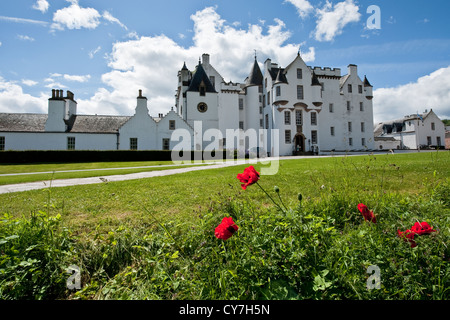 Poppy flowers and Blair Castle in Scottish town of Blair Atholl, Perthshire Stock Photo