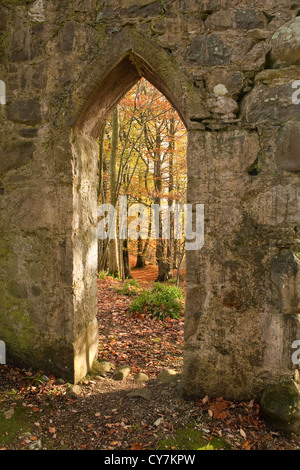 View through the door of a folly in the Autumn woodland at Glen Esk, Scotland Stock Photo