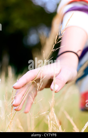 Hand in nature Stock Photo