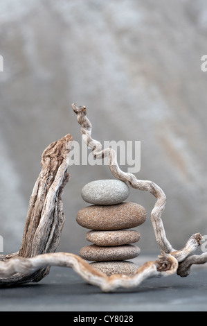 Rotts and river stones photographed on stone. Stock Photo