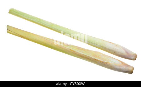 two Lemongrass isolated on white background Stock Photo