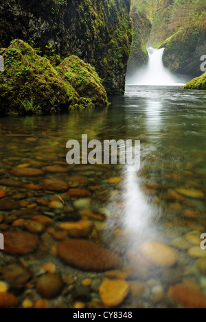 Punchbowl Falls, Eagle Creek Recreation Area, Columbia River Gorge National Scenic Area, Oregon, USA Stock Photo