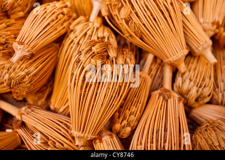 Close-up of dried dill flower bulbs Stock Photo