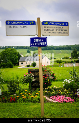 In the french champagne vineyard region of Reims Stock Photo