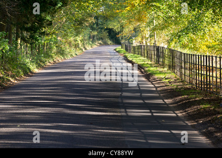 Sunlight shining through trees onto an empty road giving dappled and striped shadows, the trees forming a kind of tunnel Stock Photo