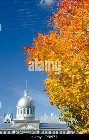 Canada, Quebec, Montreal. Historic 'Old Port' area of Montreal. Silver dome of Neo-Renaissance Bonsecours Market in Fall. Stock Photo