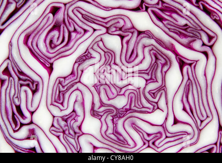 Closeup of a fresh red cabbage sliced ​​in half Stock Photo