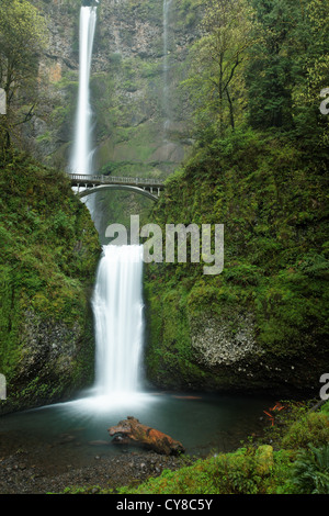 Multnomah Falls, Columbia River Gorge National Scenic Area, Oregon, USA Stock Photo