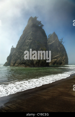 Sea stack in fog, Rialto Beach, Olympic National Park, Washington State, USA Stock Photo