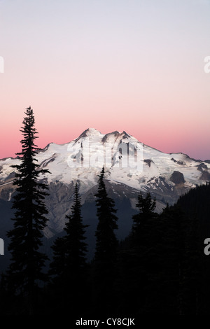 East face of Glacier Peak viewed from Buck Creek Pass, Cascade Mountains, Snohomish County, Washington Stock Photo