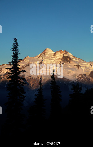 East face of Glacier Peak viewed from Buck Creek Pass, Cascade Mountains, Snohomish County, Washington Stock Photo