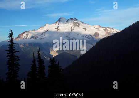 East face of Glacier Peak viewed from Buck Creek Pass, Cascade Mountains, Snohomish County, Washington Stock Photo