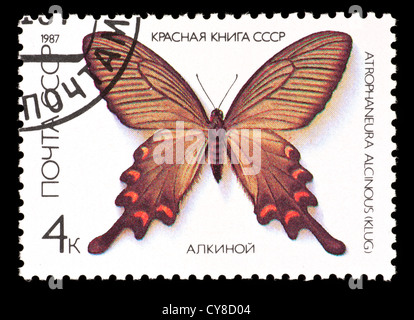 Postage stamp from the Soviet Union (USSR) depicting a Chinese Windmill butterfly (Atrophaneura alcinous) Stock Photo