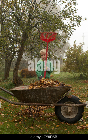 Child blond Boy 6 years old rakes up leaves in autumn garden Stock Photo