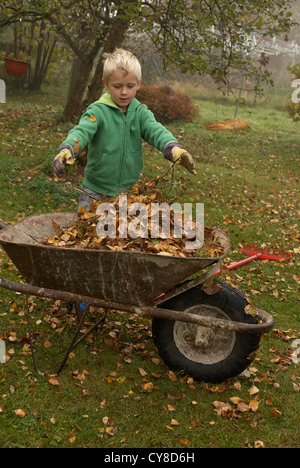 Child blond Boy 6 years old rakes up leaves in autumn garden Stock Photo