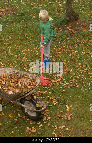 Child blond Boy 6 years old rakes up leaves in autumn garden Stock Photo