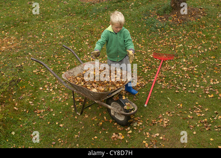 Child blond Boy 6 years old rakes up leaves in autumn garden Stock Photo