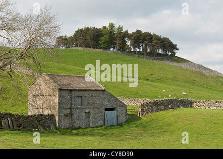 Farm barn and Kirkcarrion woodland in the Pennines. Middleton-in-Teesdale. County Durham, England Stock Photo